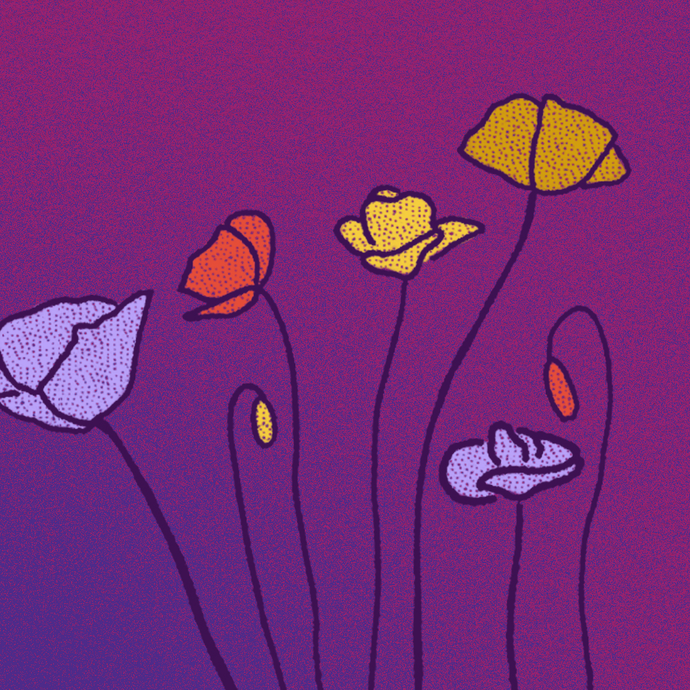 Flores silvestres sobre un fondo morado, de la serie de aprendizaje colectivo Cuidado, no control de la NNAF sobre la autonomía corporal de les jóvenes.